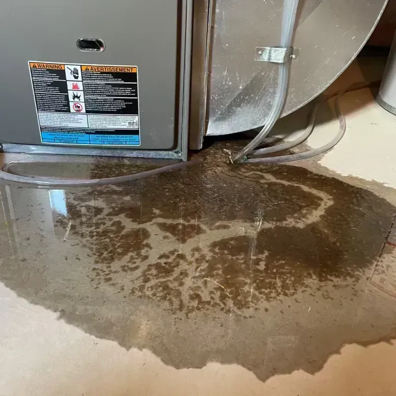 Appliance Leak Cleanup in Herrin, IL